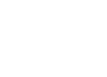 Mobiles Hessen 2030